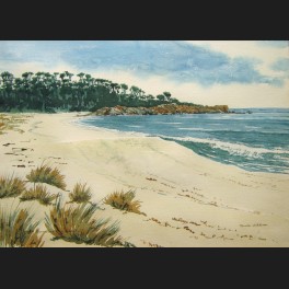 http://www.cerca-trova.fr/10544-thickbox_default/jennifer-hutchison-la-plage-de-binnalong-en-tasmanie-australie-aquarelle.jpg