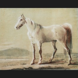 http://www.cerca-trova.fr/12301-thickbox_default/ecole-francaise-premiere-moitie-du-xixeme-siecle-cheval-blanc-dessin.jpg
