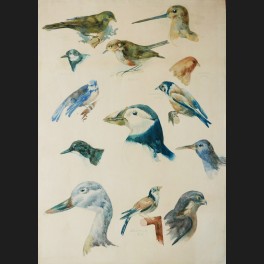 http://www.cerca-trova.fr/13416-thickbox_default/ecole-anglaise-circa-1930-oiseaux-d-europe-aquarelle.jpg