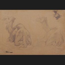 http://www.cerca-trova.fr/19174-thickbox_default/gustave-achille-guillaumet-etudes-de-dromadaires-dessin.jpg