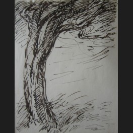 http://www.cerca-trova.fr/343-thickbox_default/theophile-alexandre-steinlen-etude-d-arbres-dessin.jpg