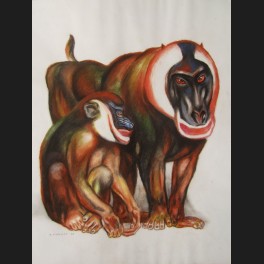 http://www.cerca-trova.fr/4624-thickbox_default/andre-margat-couple-de-singes-mandrilles-dessin.jpg
