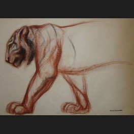 http://www.cerca-trova.fr/679-thickbox_default/raoul-sabourdin-panthere-marchant-dessin.jpg