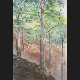 http://www.cerca-trova.fr/7568-thickbox_default/ecole-francaise-circa-1910-foret-en-montagne-aquarelle.jpg